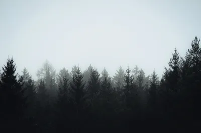 Photo by WenGe