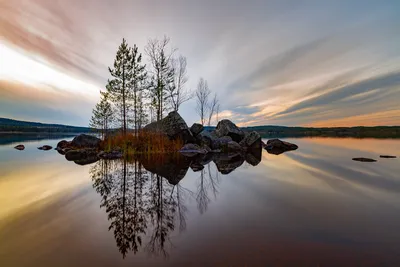 Photo by WPcoder