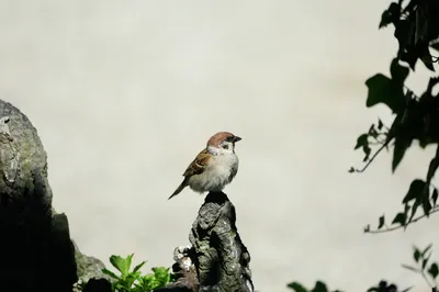 Photo by WPcoder