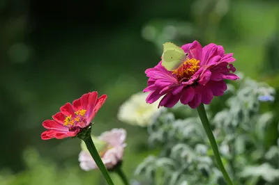 Photo by 壁纸迷
