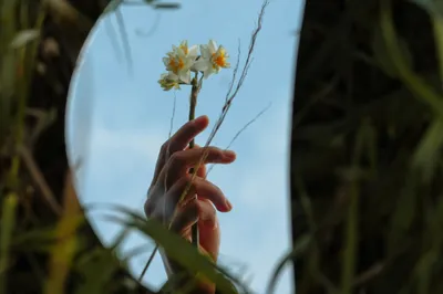 Photo by 壁纸迷