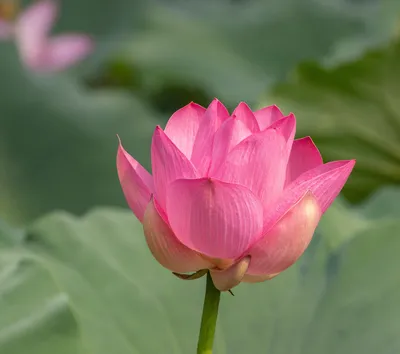 Photo by WPcoder