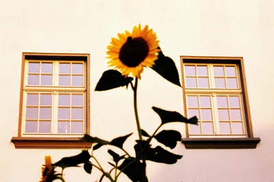 Photo by 壁纸迷