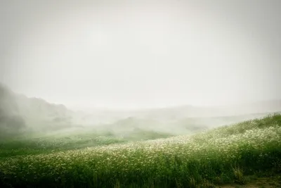 Photo by 壁纸迷