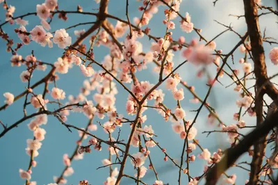 Photo by 壁纸迷