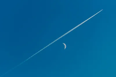 Photo by WPcoder