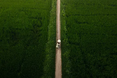 Photo by 壁纸迷
