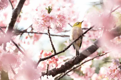 Photo by 壁纸迷