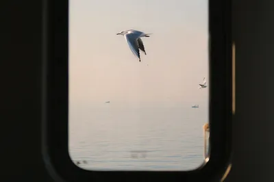 Photo by 壁纸迷