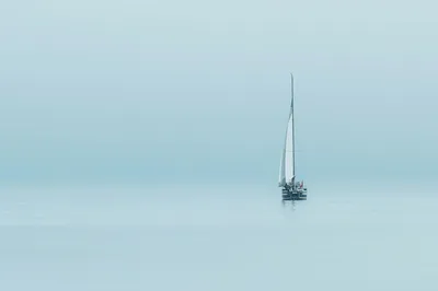 Photo by 壁纸迷