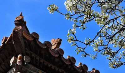 Photo by 壁纸迷
