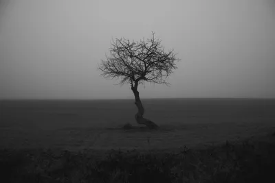 Photo by WenGe