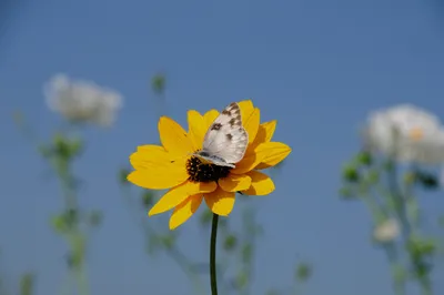 Photo by 壁纸迷