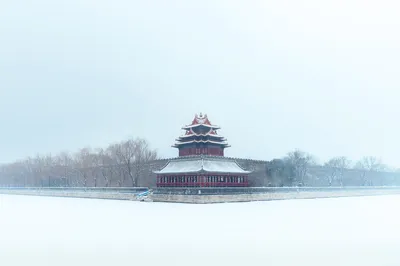 Photo by WPcoder