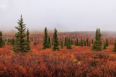 Photo by WPcoder