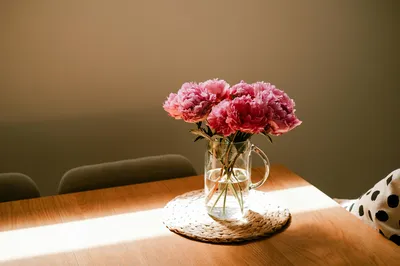 Photo by WPcoder