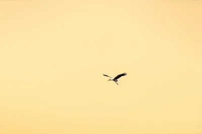 Photo by 壁纸迷