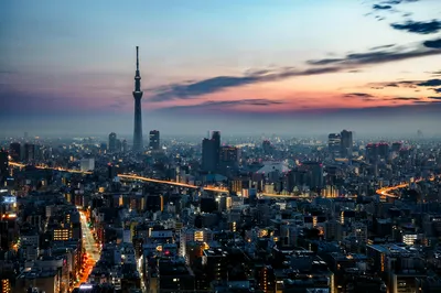 东京夜景 城市景观 日落 高楼大厦 4K