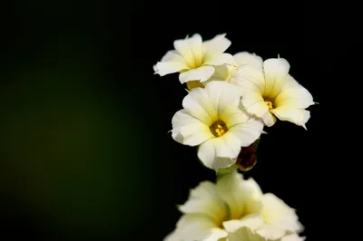 Photo by WPcoder