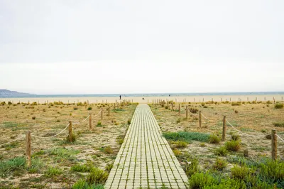Photo by WenGe