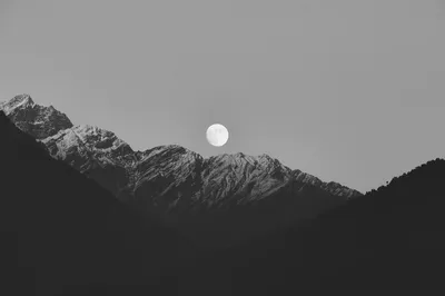 Photo by WPcoder
