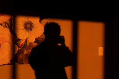 Photo by 壁纸迷
