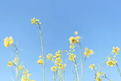 Photo by 壁纸迷