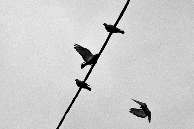 Photo by 壁纸迷