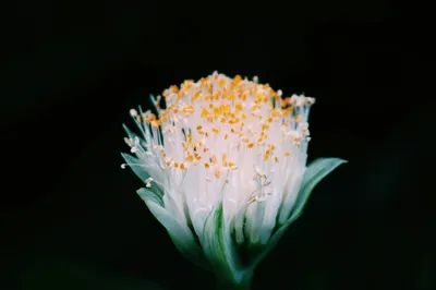 Photo by 壁纸迷
