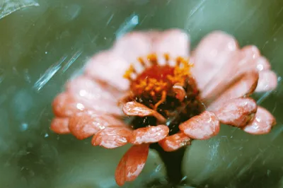Photo by 壁纸迷