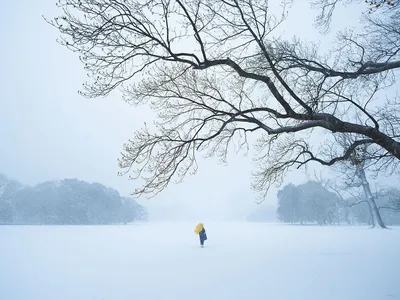 Photo by WenGe