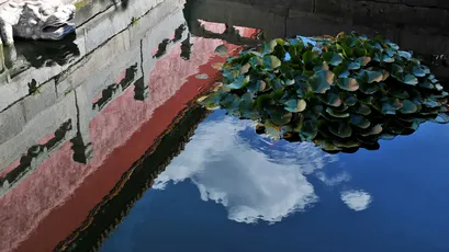 Photo by WPcoder