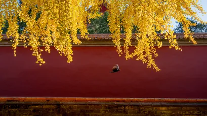 Photo by 壁纸迷