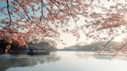 Photo by 壁纸迷