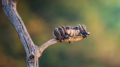 Photo by 壁纸迷