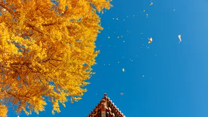 Photo by 壁纸迷