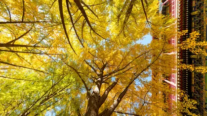 Photo by 壁纸迷
