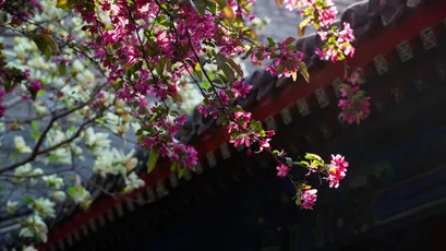 Photo by 壁纸迷