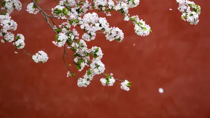 Photo by WPcoder