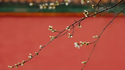 Photo by WPcoder