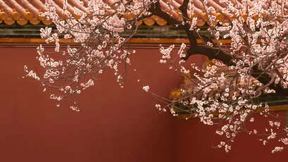 Photo by WPcoder