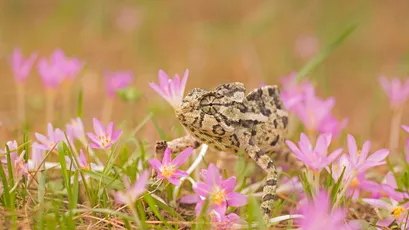 Photo by 壁纸迷