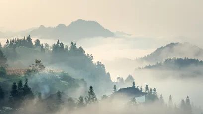 Photo by WPcoder