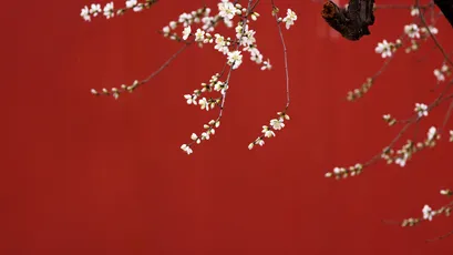 Photo by 壁纸迷