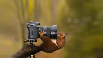 Photo by WPcoder