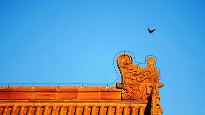 Photo by 壁纸迷