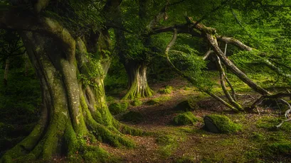 Photo by 壁纸迷