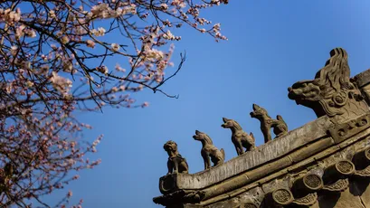 Photo by 壁纸迷