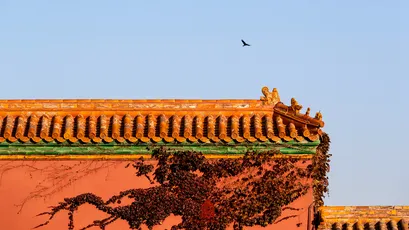 Photo by 壁纸迷