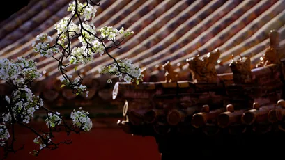 Photo by 壁纸迷